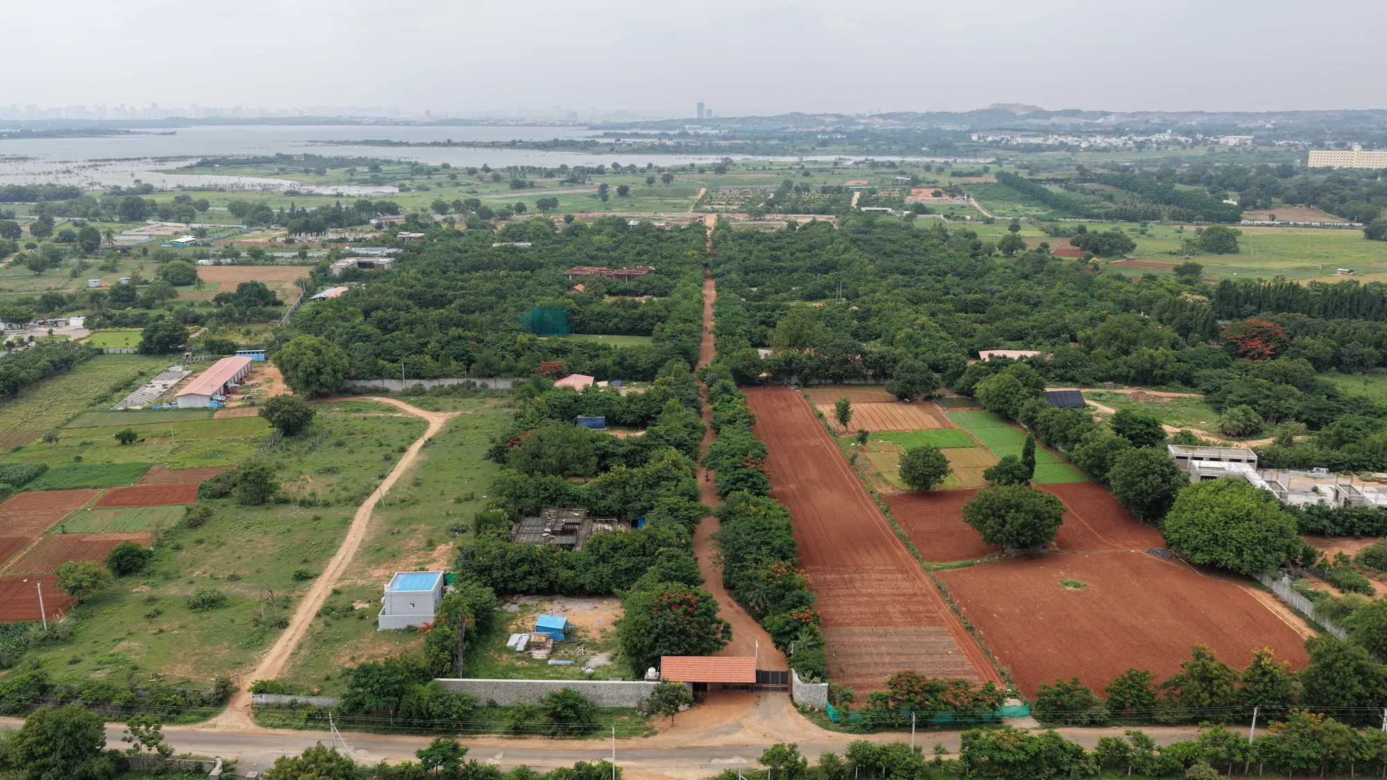 Aerial view of dense forest trees and planted plots at Woods Shamshabad
