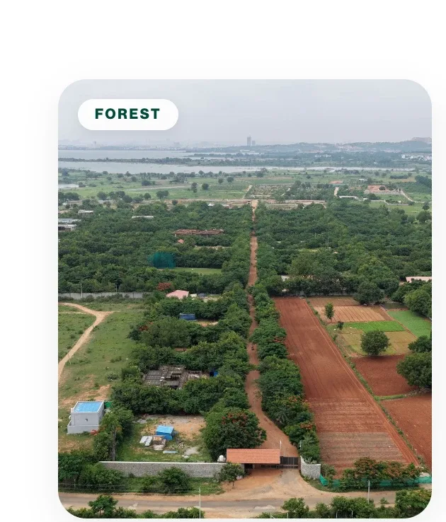 Aerial view of the project landscape
