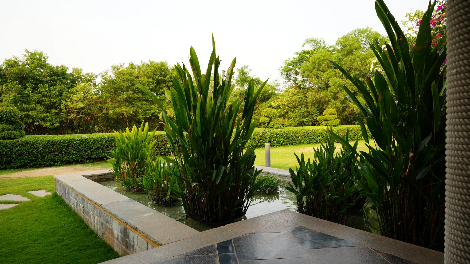 Green landscape imagery for Woods Shamshabad