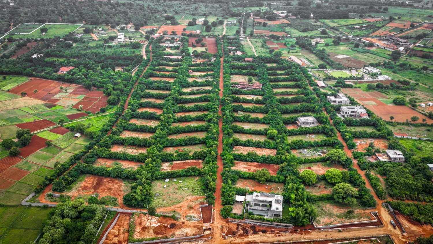 Aerial view of the Woods Shamshabad plots within the planted forest